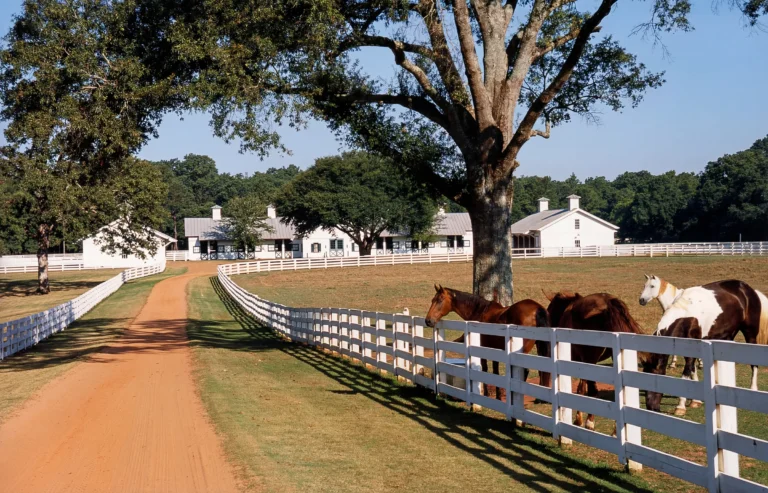 Equestrian center with stables, paddocks, and white fencing along a farm lane, planned as part of a comprehensive working pecan farm estate.